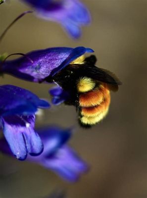  Bumblebee!  The Fuzzy Pollinator With a Buzz That Can Rock Your World!