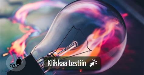  Hiippa: Mikä On Tässä Yöllisen Harrastajan Salainen Elämä?